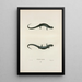 Salamandre granuleuse - John Edwards Holbrook — oprawiony obraz na ścianie