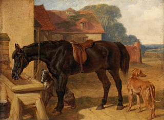John Frederick Herring Snr - A Horse Drinking.webp