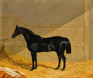 John Frederick Herring Snr - Black Horse In A Stable.webp