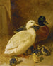 Kaczki i kaczuszki - John Frederick Herring l'Ancien — widok dzieła