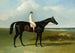 Le Cheval de course bai foncé de M. O'Brien, Jonathan Wild, avec le jockey T. Ryder - John Frederick Herring l'Ancien — widok dzieła