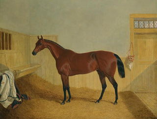 John Frederick Herring Snr - Mr William Ordes Bay Filly Beeswing In A Stable.webp