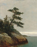 Le vieux pin Darien Connecticut - John Frederick Kensett — widok dzieła