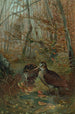 Bécasse - John George Wood — widok dzieła