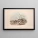 Monografia Macropodidae lub rodziny kangurów Pl15 - John Gould — oprawiony obraz na ścianie