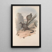 Monografia rodziny Macropodidae, czyli kangurów Pl23 - John Gould — oprawiony obraz na ścianie
