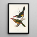 Monografia Ramphastidae lub rodziny toucanów Pl22 - John Gould — oprawiony obraz na ścianie