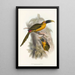 Monografia rodzin Ramphastidae lub rodziny toucanów Pl28 - John Gould — oprawiony obraz na ścianie