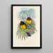 Monografia rodzin Trogonidae lub rodzinę trogonów Pl06 - John Gould — oprawiony obraz na ścianie