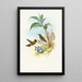 Clytolaema aurescens - John Gould — oprawiony obraz na ścianie