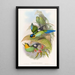 Eurylaime de Dalhousie - John Gould — oprawiony obraz na ścianie