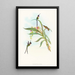 Tharmastura enicura - John Gould — oprawiony obraz na ścianie