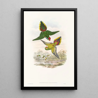 John Gould - The Birds of New Guinea and the adjacent Papuan islands Pl16.webp