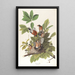 Merle d'Amérique - John James Audubon — oprawiony obraz na ścianie