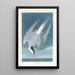 Gwiazdy Arktyki - John James Audubon — oprawiony obraz na ścianie