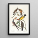 Tyran de l'Arkansas Tyran à queue fourchue - John James Audubon — oprawiony obraz na ścianie