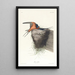 Hirondelle rustique - John James Audubon — oprawiony obraz na ścianie