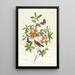 Paruline à tête brune mangeuse de vers - John James Audubon — oprawiony obraz na ścianie