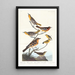 Oriole Bullock, Oriole z Baltimore, meksykański chardonneret, szarańczak różowy, szarańczak strumieniowy - John James Audubon — oprawiony obraz na ścianie