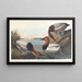 Kaczka z białym grzbietem - John James Audubon — oprawiony obraz na ścianie