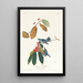 Paruline azurée - John James Audubon — oprawiony obraz na ścianie