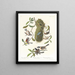 Mésange à dos marron Mésange à tête noire Mésange à couronne marron - John James Audubon — oprawiony obraz na ścianie