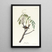 Bruant familier - John James Audubon — oprawiony obraz na ścianie