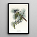 Mésange huppée - John James Audubon — oprawiony obraz na ścianie