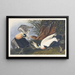 Eider à duvet - John James Audubon — oprawiony obraz na ścianie