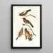 Gros-bec du soir, Gros-bec tacheté - John James Audubon — oprawiony obraz na ścianie