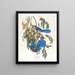 Geai de Floride - John James Audubon — oprawiony obraz na ścianie
