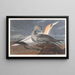 Fou de Bassan - John James Audubon — oprawiony obraz na ścianie