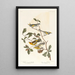 Paruline à ailes dorées - John James Audubon — oprawiony obraz na ścianie