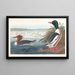 Harle bièvre - John James Audubon — oprawiony obraz na ścianie