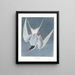 Sterne cendrée - John James Audubon — oprawiony obraz na ścianie