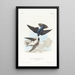 Hirondelle à ventre blanc - John James Audubon — oprawiony obraz na ścianie