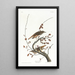 Grive solitaire - John James Audubon — oprawiony obraz na ścianie