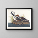 Kaczka huppée - John James Audubon — oprawiony obraz na ścianie