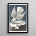 Faucon gerfaut - John James Audubon — oprawiony obraz na ścianie