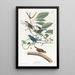 Passerin indigo - John James Audubon — oprawiony obraz na ścianie
