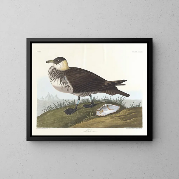 Myśliwy - John James Audubon — oprawiony obraz na ścianie