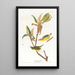 Paruline du Kentucky - John James Audubon — oprawiony obraz na ścianie