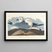 Mouette tridactyle - John James Audubon — oprawiony obraz na ścianie