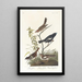 Bruant des prés Bruant des prairies Moineau chanteur brun - John James Audubon — oprawiony obraz na ścianie