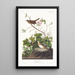 Bruant de Lincoln - John James Audubon — oprawiony obraz na ścianie