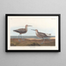 Bécasseau à longues pattes - John James Audubon — oprawiony obraz na ścianie