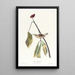 Grive de Louisiane - John James Audubon — oprawiony obraz na ścianie