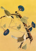 Parulines du Maryland - John James Audubon — widok dzieła