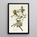 Paruline du Maryland - John James Audubon — oprawiony obraz na ścianie