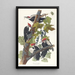 Pic à tête rouge - John James Audubon — oprawiony obraz na ścianie